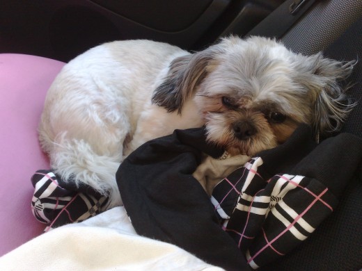durmiendo durmiendo